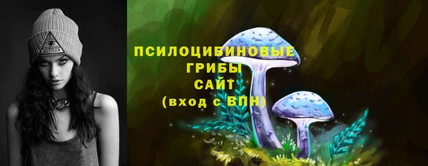 спайс Мегион