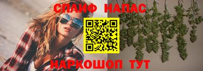 ECSTASY Канаш