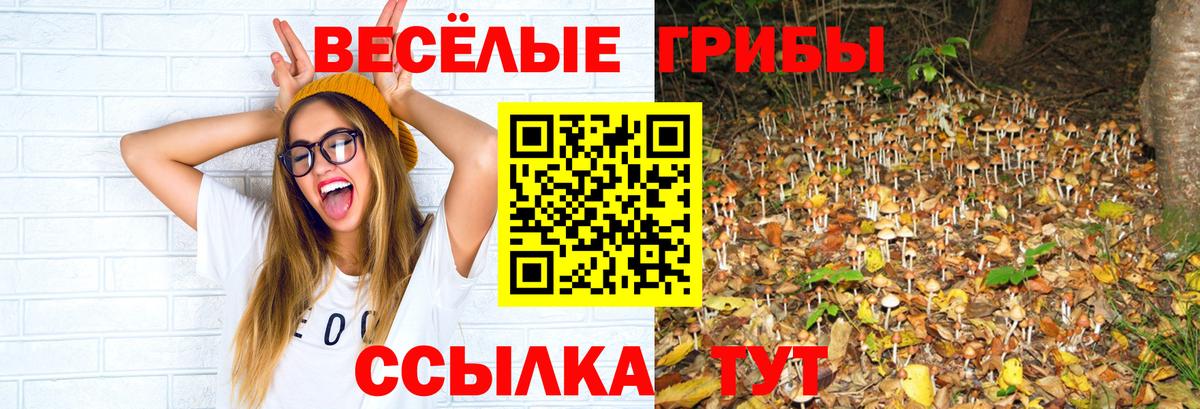 продажа наркотиков  Вход с VPN  Мурманск  Галлюциногенные грибы Psilocybe 