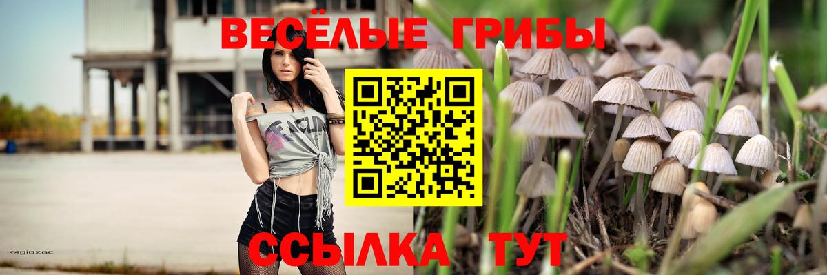 Галлюциногенные грибы Cubensis Мурманск
