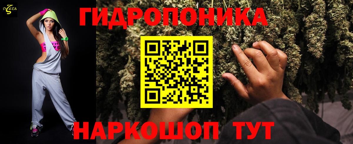 Марихуана конопля  Канабис OG Kush  Вход с VPN  Бошки Шишки семена  Мурманск  Конопля планчик 
